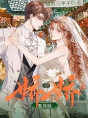 结婚三年不回家七零娇娇要离婚全文txt